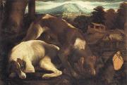 Jacopo Bassano Two Dogs painting